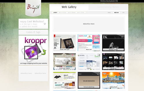 36個(gè)精選網(wǎng)站 探索與收集互聯(lián)網(wǎng)信息服務(wù)業(yè)務(wù)領(lǐng)域的網(wǎng)頁設(shè)計(jì)杰作